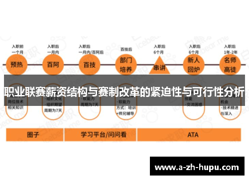 职业联赛薪资结构与赛制改革的紧迫性与可行性分析