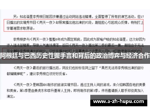 阿根廷与巴西历史性握手言和背后的政治博弈与经济合作