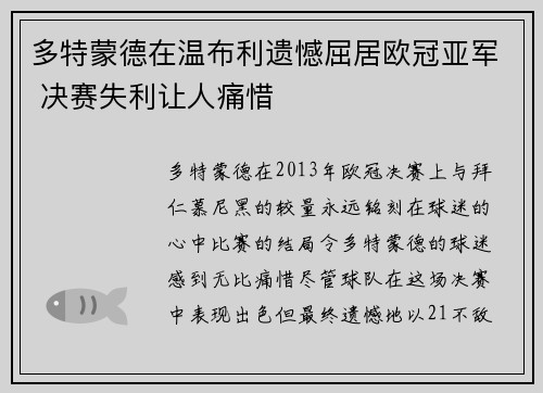 多特蒙德在温布利遗憾屈居欧冠亚军 决赛失利让人痛惜